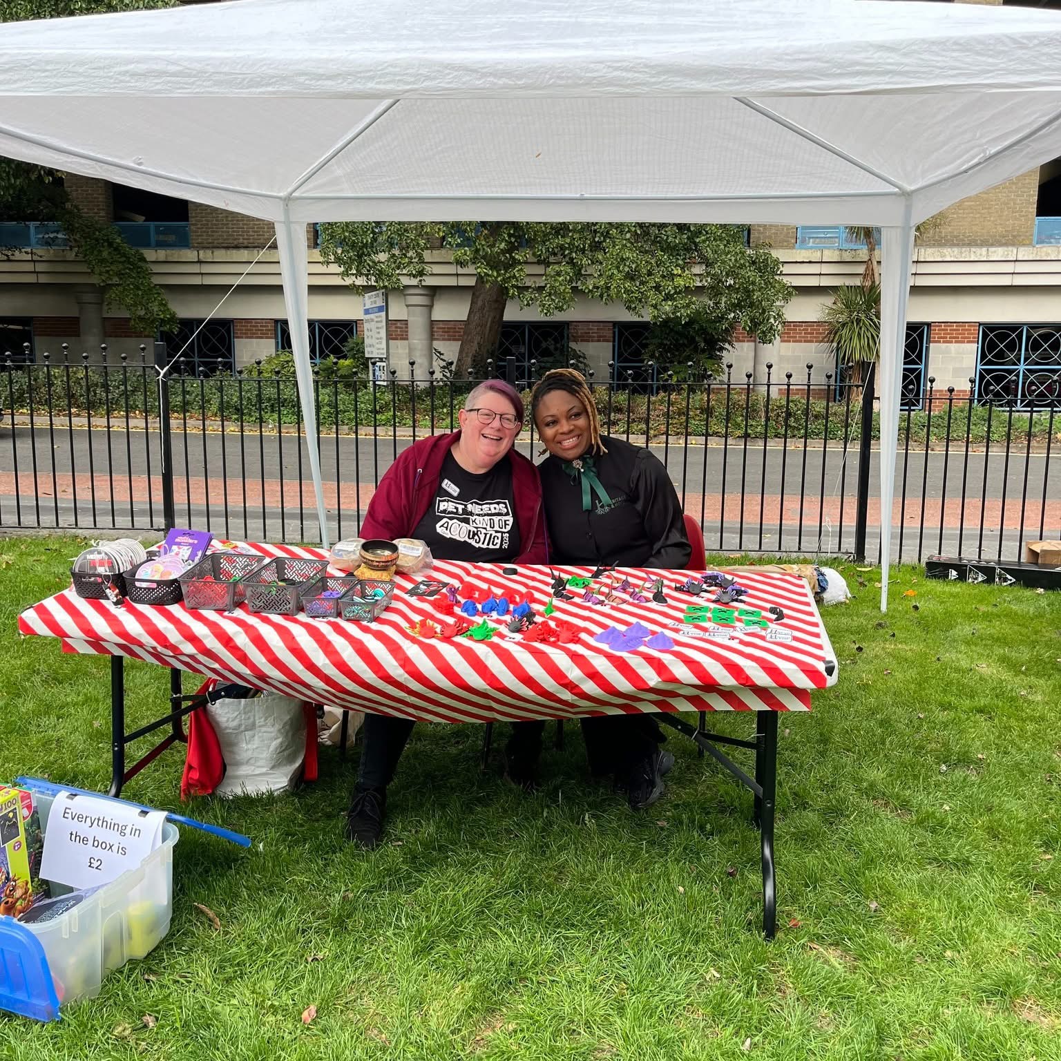 Two volunteers smiling behind a craft stall at Andover Town Mill Park